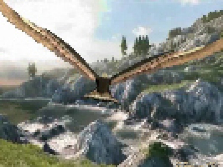 Muttertag Adlerflug Bild 1
